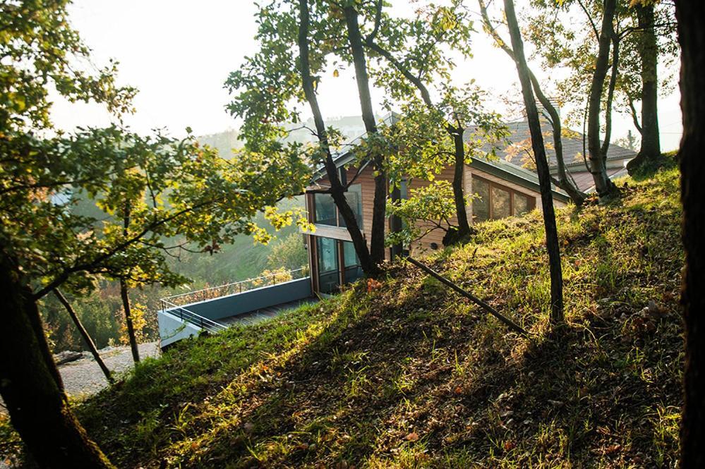 Apartment Oton Reya Dobrovo